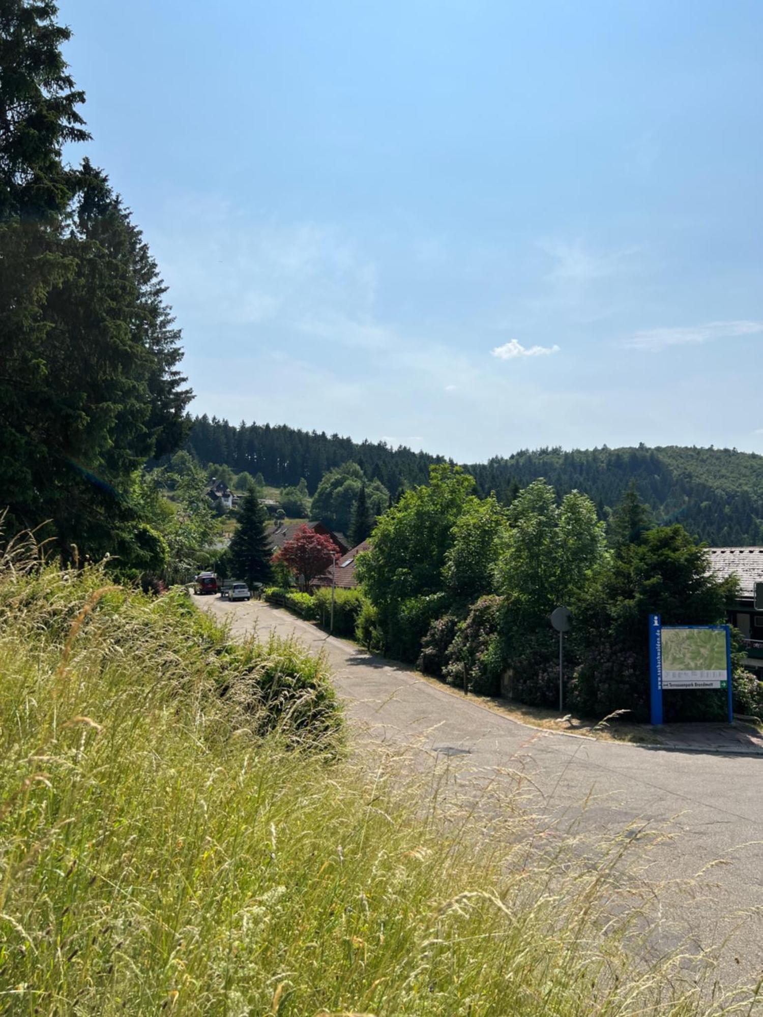 Appartement An Wanderwegen Gelegen Mit Terrasse Und Boxspringbett à Sasbachwalden Extérieur photo